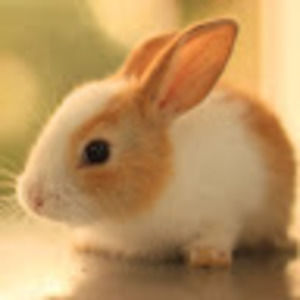 Meet your Posher, Renae